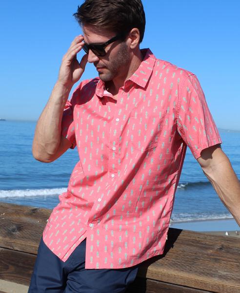 HCF22406 guava - Henri-Costa