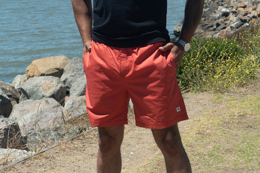 HCF22990 AMPHIBIAN chile - Henri-Costa