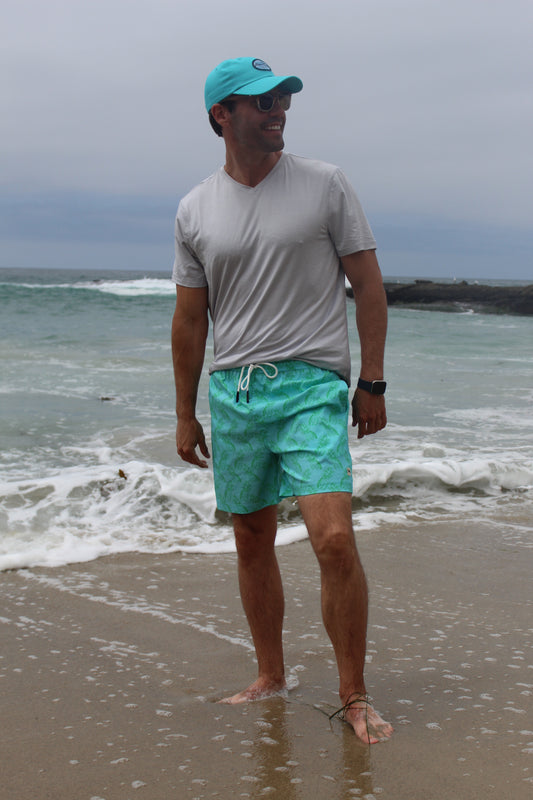 HCS23905 PALAWAI surf blue