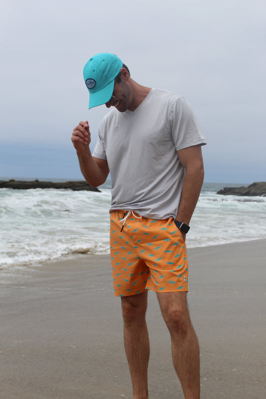 HCS23906 FINNEY mango