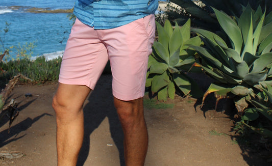 HCS21100 SANIBEL guava - Henri-Costa